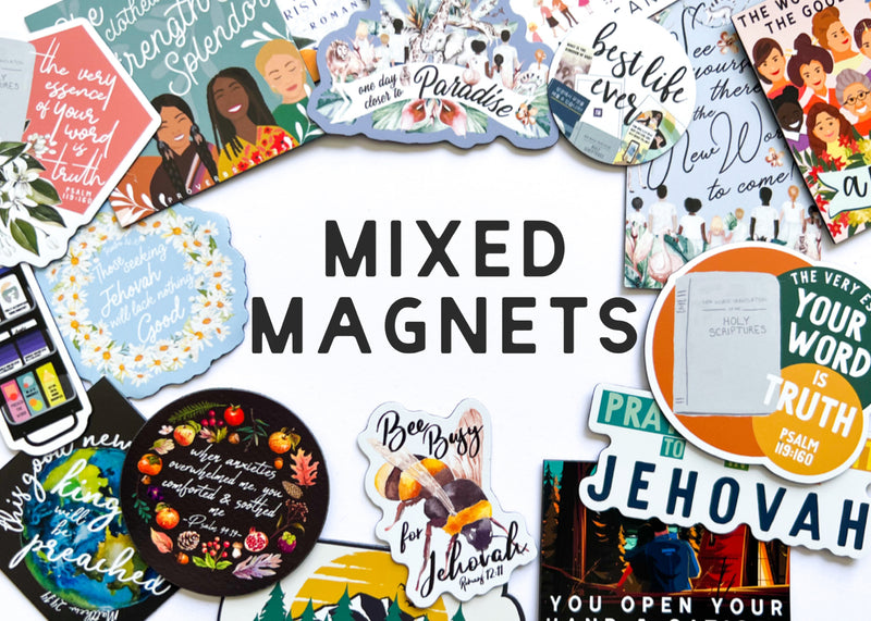 Mixed Magnets - GINGERS