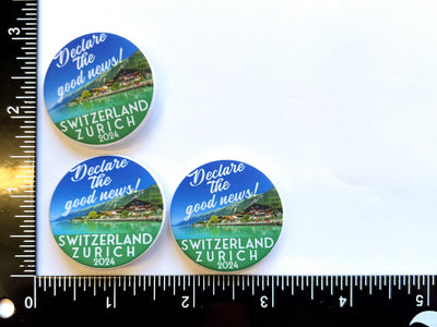 Zurich Pins - Mountain Lake House - GINGERS