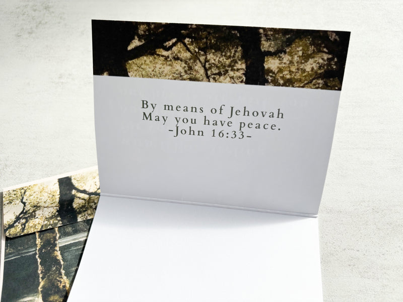 Sympathy Forest Greeting Card