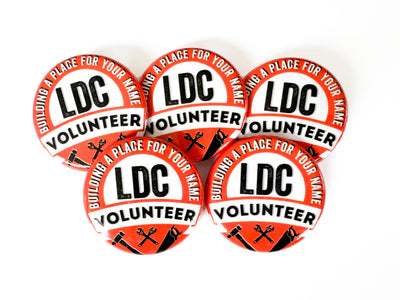 LDC Local Design Construction Pins - GINGERS